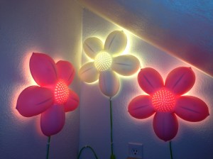 Secret Room After Flower Lights