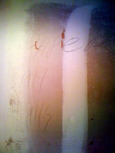 Master Water Closet Before 3