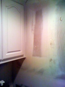 Master Water Closet Before 4