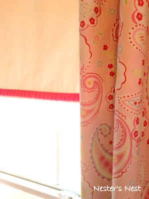 Pottery Barn Kids Paisley Panels