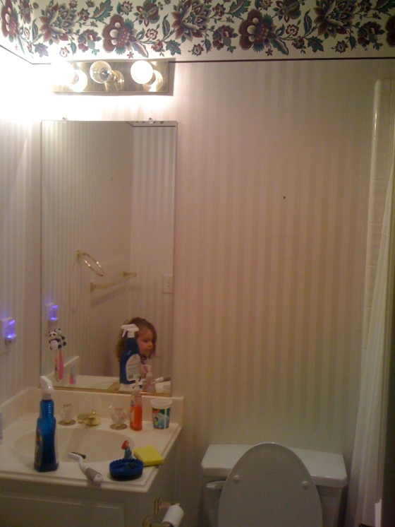 Clara's Bathroom Before Wallpaper